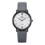 RW Royman WIN – RW-2100